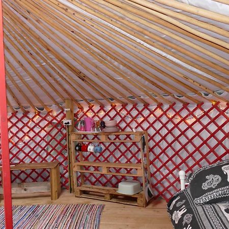 Alder Yurt Wych Elm Glamping Hotel Helston Exterior foto