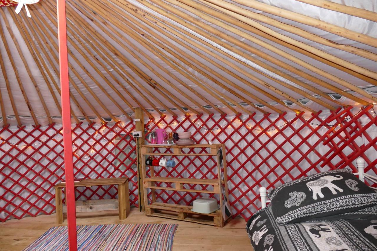 Alder Yurt Wych Elm Glamping Hotel Helston Exterior foto