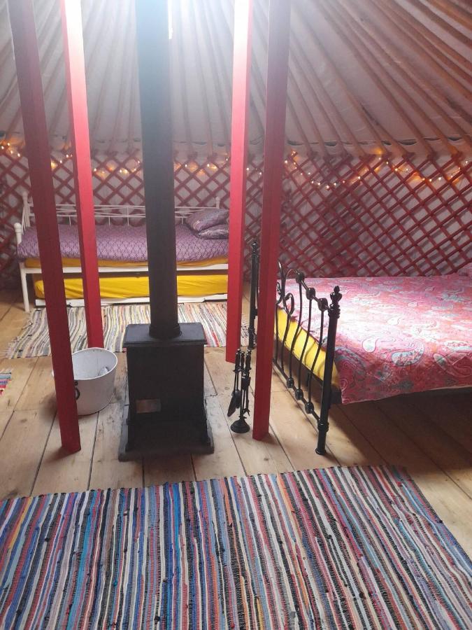 Alder Yurt Wych Elm Glamping Hotel Helston Exterior foto