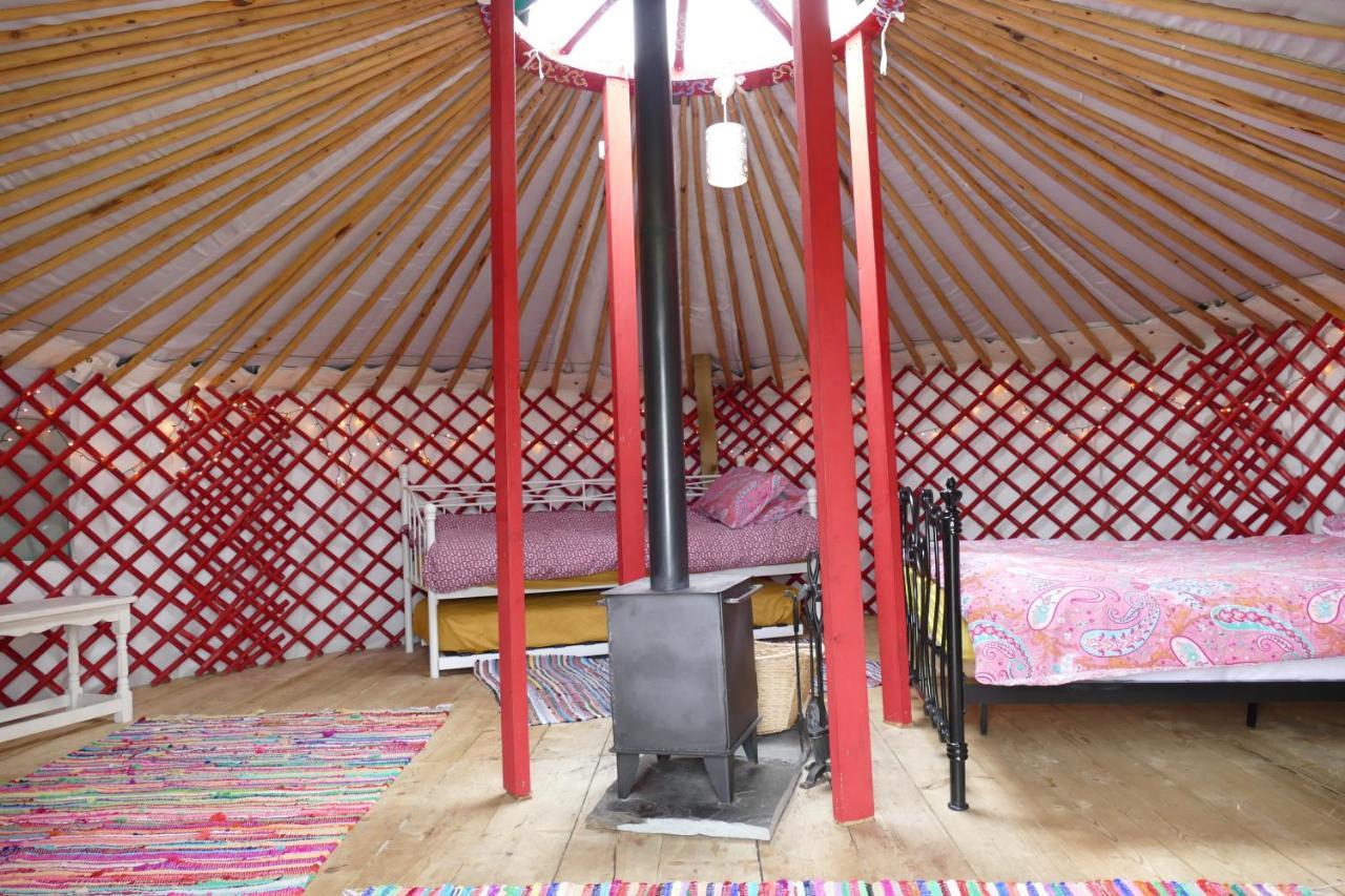 Alder Yurt Wych Elm Glamping Hotel Helston Exterior foto